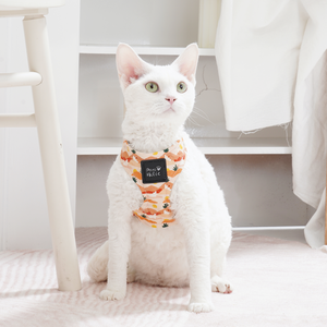 Breathable Fashion Cotton Luxury Comfortable <b>Dog</b> Harness Cat Harness Cute Pattern Adjustable Buckle Small Breed Fashion Style - Product Image 4