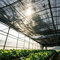 Zwarte rechthoekige HDPE schaduwnet met anti-UV, winddichte en milieuvriendelijke eigenschappen voor de landbouw