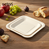 Assiette en papier carrée jetable, biodégradable, écologique, de qualité supérieure, épaisse, empilable, hygiénique, pour pique-nique, événements, service de nourriture, impression personnalisée