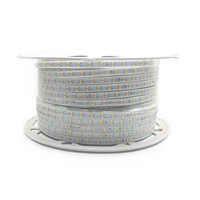 Lámpara de diodo emisor de luz con 220V SMD 5730 120led, luz blanca cálida, azul, roja, verde, azul, morada