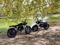 Vélo Électrique Tout-Terrain Haute Vitesse 3000W Sans Balais avec Pneus Larges et Freins à Disque pour Adultes, Batterie Lithium 48V, Style Rétro Cafe Racer, Vélo Urbain