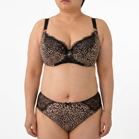 Ensemble de lingerie sexy pour femmes en dentelle brodée, deux pièces, avec soutien-gorge en maille à armatures et culotte taille haute