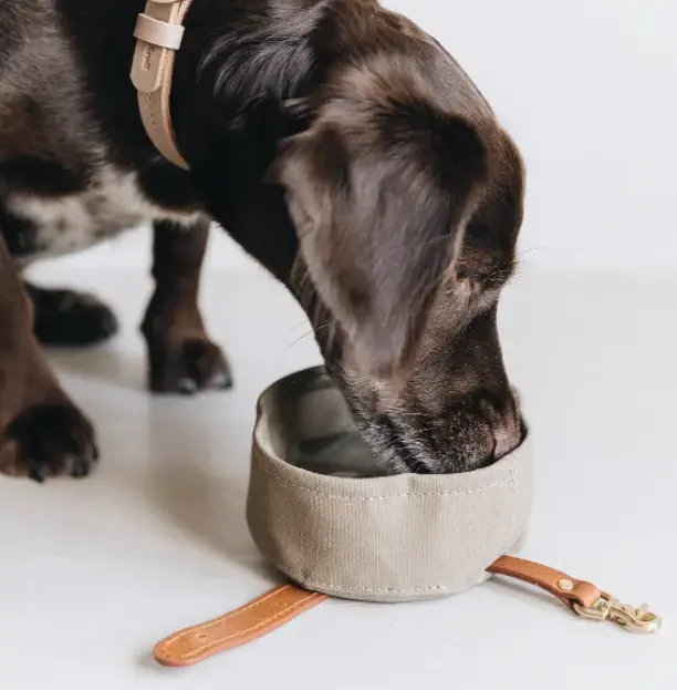 Kustom Pabrik MOQ rendah ramah lingkungan RPET pakan hewan peliharaan tas tamasya anjing kucing Makanan luar ruangan mangkuk lembut tas Travel kanvas lilin