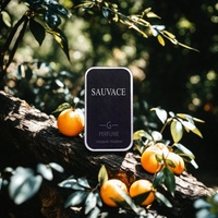 Parfum solide boisé portable de luxe, taille standard, pour homme et femme, parfum corporel, notes multicouches, parfum longue durée