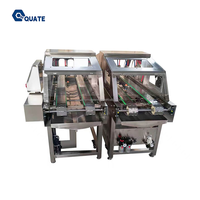 Línea de Producción de Pasteles, Máquina Automática de Pulverización de Aceite, Molde para Alimentos, Pulverizador de Líquido para Huevos, Máquina de Inyección de Agua