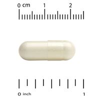 OEM TK Amazon : Capsules de probiotiques pour femmes, très vendues, favorisent la santé digestive, 60 capsules