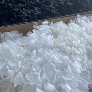 Vente en gros de 100g de pétales d'hortensia en bois de haute qualité, blancs et bleus, préservés, pour la Saint-Valentin et Noël - Product Image 6