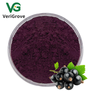 Ekstrak Blackcurrant hitam larut alami murni bubuk antosianidin 1%-25% ekstrak Blackcurrant - Product Image 1