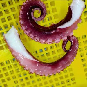 Productos de mariscos de calidad, producto para la salud, <span class=keywords><strong>pulpo</strong></span> hervido, pierna larga - Product Image 3