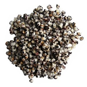 Chất lượng cao nhà máy giá bán buôn các hạt giống của <span class=keywords><strong>cowherb</strong></span> Bột các hạt giống của <span class=keywords><strong>cowherb</strong></span> chiết xuất bột nước hòa tan bột - Product Image 2