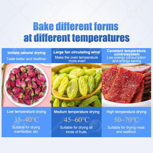 ORME Industrial Acero inoxidable Carne Biltong Horno seco Copra Máquina de secado Deshidratador de frutas Precio de la máquina - Product Image 5