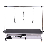 Table de toilettage de chien de levage électrique direct d'usine équipement de toilettage pour animaux de compagnie écologique de luxe Offre Spéciale pour salons d'animaux de compagnie