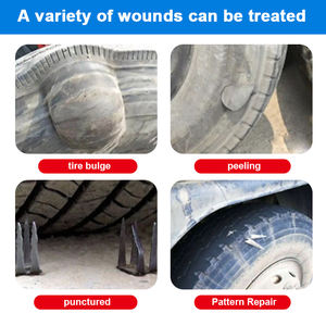 Machine de vulcanisation de presse de séchage de pneu de camion à haute efficacité et économie d'énergie - Product Image 3