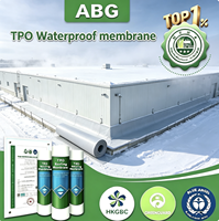 Membrane d'étanchéité TPO pour drain de cavité avec feuille de fondation à noyau alvéolé pour mur de sous-sol et drainage