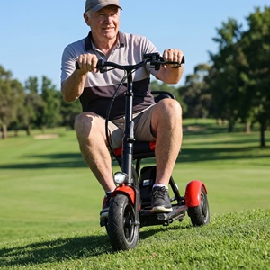 Tricycle électrique auto-équilibrant, durable et longue portée avec contrôleur intelligent pour le transport en banlieue et <span class=keywords><strong>sur</strong></span> les terrains de golf - Product Image 4