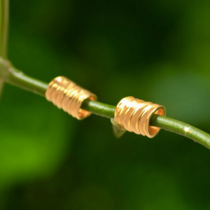 ต่างหูห่วงแฟชั่น สแตนเลส 316L ชุบทอง PVD ทนทาน เป็นมิตรต่อสิ่งแวดล้อม - Product Image 3