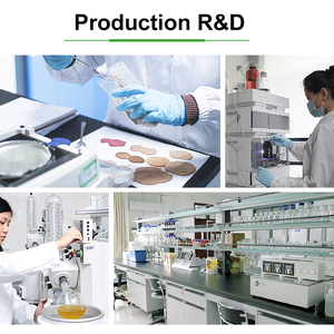 Fabrika tedarikçisi yüksek kalite gotu kola ekstresi <span class=keywords><strong>Asiaticoside</strong></span> <span class=keywords><strong>90</strong></span>% - Product Image 4