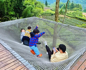 प्लास्टिक जाल 100% पॉलिएस्टर हैममॉक कस्टम-कट हैममॉक कस्टम-कट हैममॉक एडजस्टेबल मेष आकार हैममॉक - Product Image 2