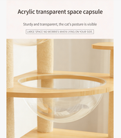 Arbre à chat de luxe avec structure d'escalade et nid, design spatial