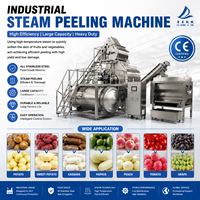 Stoomschilmachine met CE-certificaat, automatische fruit- en groenteschiller voor aardappel, cassave en voedselverwerkingslijn
