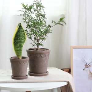 Haute qualité maison Gadern décoration succulente planteur <span class=keywords><strong>Pot</strong></span> <span class=keywords><strong>extérieur</strong></span> intérieur décoratif jardin balcon <span class=keywords><strong>terre</strong></span> <span class=keywords><strong>cuite</strong></span> Pots de fleurs - Product Image 3