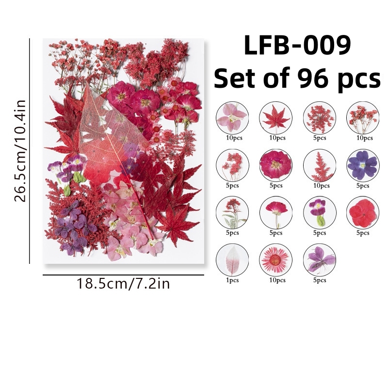 LFB-009