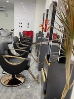 Fauteuils de coiffure modernes pour salon de beauté, fauteuils inclinables roses pour femmes, fauteuils de styliste capillaire
