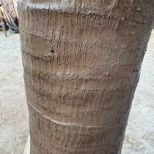 ต้นมะพร้าวเทียมปรับแต่งได้เป็นมิตรต่อสิ่งแวดล้อมใช้ตกแต่งสวนลำต้นโค้งทำจากไฟเบอร์กลาสยาว3-10เมตร - Product Image 4