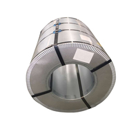 Bobine de tôle d'acier galvanisé laminé à froid de qualité DX51D pour plaques de conteneurs, normes JIS/ASTM/DIN/BS, origine Jiangsu, 0,16-3,0 mm
