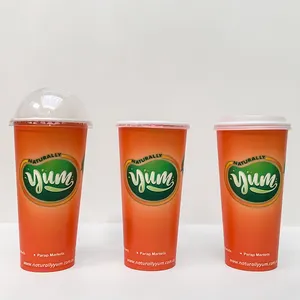 Factory Wholesale To Go Disposable Double PLA Cup 32oz 44oz Cold Drinking Juice Paper Cup With Lids