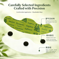 Patch Ergonomique aux Herbes pour le Cou et les Épaules, Extrait Naturel d'Herbes Chinoises, Soin Quotidien