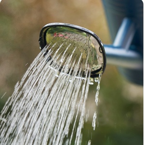 <span class=keywords><strong>Arrosoir</strong></span> en plastique de qualité supérieure avec bec long pour arroser les plantes d'intérieur et d'extérieur - Product Image 5