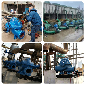 Horizontal <b>Large</b> Flow Centrifugal Pump Automatic Water Pump for Agricultural Irrigation Double Suction Split Case Pump - Product Image 2