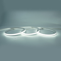 Jiuzhu Outdoor 24V IP67 10-10 avec bords en silicone, corde lumineuse LED de jardin avec Wi-Fi et dimmable 2200K-6000K