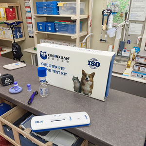 개 송곳니 Relaxin 신속 테스트 병원 및 클리닉을위한 한 단계 임신 테스트 키트 - Product Image 4