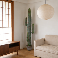 Plantes artificielles du désert, cactus en plastique, toucher naturel, résistant à l'eau, écologique, pour la décoration intérieure, mariage, nouvel an