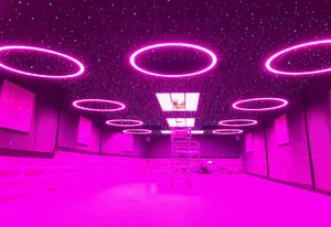 Fancy RGB LED Circular Light Color Changing RGB Pendant Light Wireless Controlled For Fitness Room