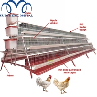 Cage à poulets de type 4, 128 à 160, pour élevage de volailles pondeuses, marché africain