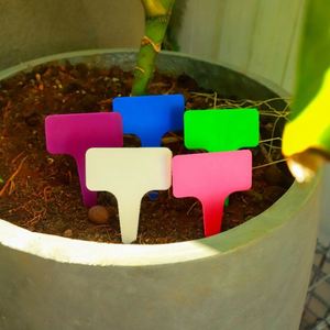 NewFida10 Colors Option Waterproof Outdoor <b>Nursery</b> Garden Labels T-Type PP Plastic Plant Name Tags Planting Seedling Stake Tags - Product Image 2
