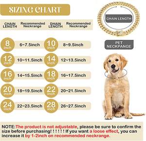 Rantai anjing berlian kerah Kuba berjalan kerah rantai logam dengan desain gesper aman, aksesori perhiasan kerah Kuba peliharaan - Product Image 2