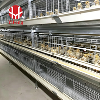 Cage à poussins de type A pour l'élevage commercial, alimentation automatique, équipement d'élevage pour ferme avicole, fournisseur pour projets de poulets