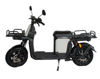 Vélo électrique de livraison urbaine le plus vendu, vélo électrique avec éclairage LED et affichage numérique, moteur durable de 800 W pour les trajets quotidiens