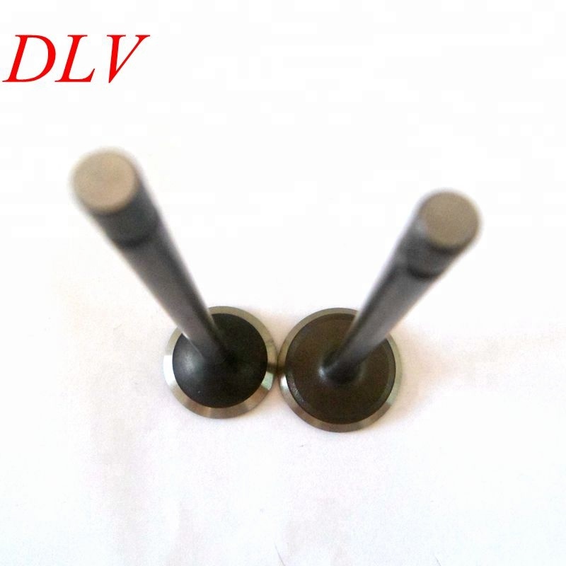 High Quality 96463002 96463003 Engine Valves for Chevrolet Spark