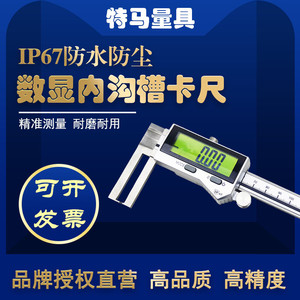 Tema Digital Caliper 0-300mm High Precision 0.01mm Waterproof <b>Measurement</b> <b>Tool</b> - Product Image 5