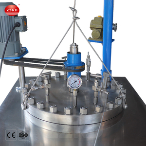 Reactor de Alta Presión con Agitación Magnética Micro, Reactor de Hidrogenación de Acero Inoxidable, Autoclave de Alta Temperatura y Alta Presión - Product Image 2