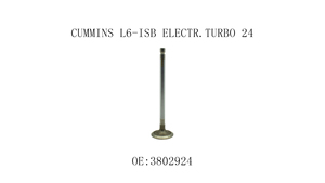 Válvula de Admisión de Alta Calidad para CUMMINS L6-ISB ELECTR.TURBO CUMMINS 24 ISB/3.9/5.9/6.7 3976-AC OE NO.3802924 - Product Image 2
