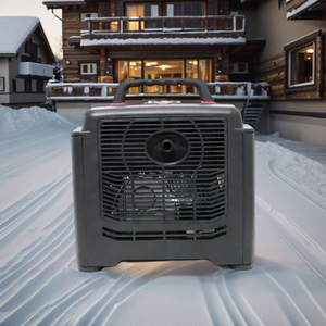 Generador Portátil de Gasolina EYG700IA Tiger de 750W/800w/950/1000W/1200W, Cuatro Tiempos, Gasolina, CA, Monofásico - Product Image 3