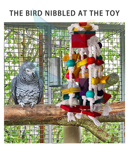 Gerçekçi kuş çiğneme oyuncağı Natrual ahşap papağan interaktif ağaç ahşap papağan oyuncaklar ve kuş tüm doğal kuş oyuncaklar büyük papağan - Product Image 2