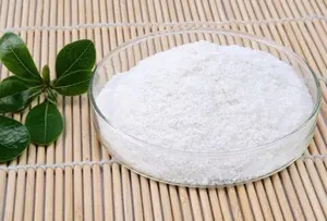 2023 Chine qualité fournisseur produit en vrac levure bêta-glucane poudre soins de la peau levure bêta-glucane extrait