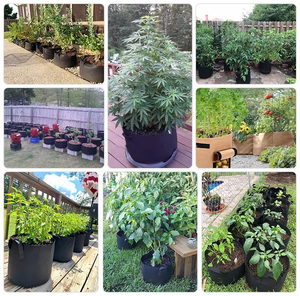 Paquete de 10 Bolsas de Cultivo Resistentes y Gruesas de Tela No Tejida, Macetas de Fibra Vegetal con Asas - Product Image 4